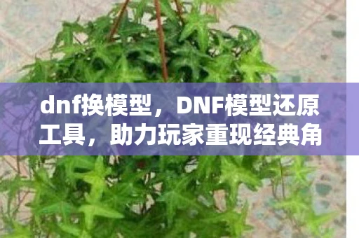 dnf换模型，DNF模型还原工具，助力玩家重现经典角色的风采