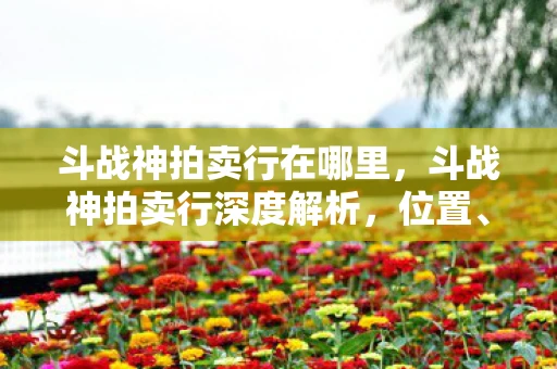 斗战神拍卖行在哪里，斗战神拍卖行深度解析，位置、功能与影响