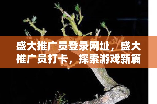 盛大推广员登录网址图片