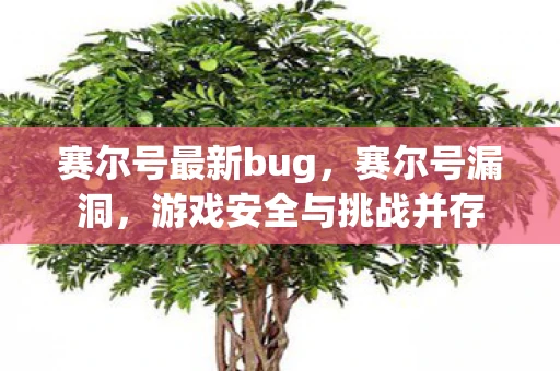 赛尔号最新bug，赛尔号漏洞，游戏安全与挑战并存
