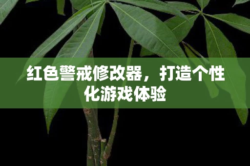红色警戒修改器,打造个性化游戏体验 红色警戒修改器,打造个性化游戏体验