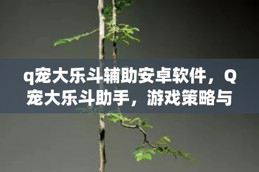 q宠大乐斗辅助安卓软件，Q宠大乐斗助手，游戏策略与辅助工具深度解析