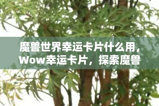 魔兽世界幸运卡片什么用，Wow幸运卡片，探索魔兽世界中的幸运与策略