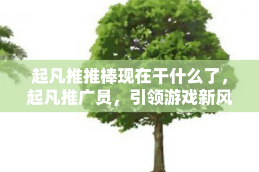 起凡推推棒现在干什么了，起凡推广员，引领游戏新风尚