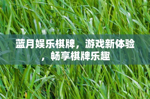 蓝月娱乐棋牌，游戏新体验，畅享棋牌乐趣