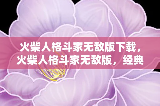 火柴人格斗家无敌版下载，火柴人格斗家无敌版，经典再现，战无不胜