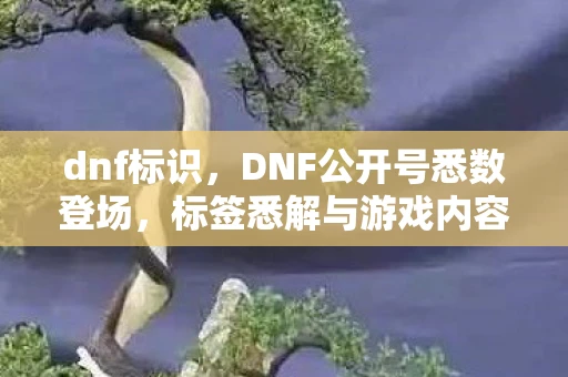 dnf标识，DNF公开号悉数登场，标签悉解与游戏内容探秘
