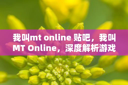 我叫mt online 贴吧，我叫MT Online，深度解析游戏背后的魅力