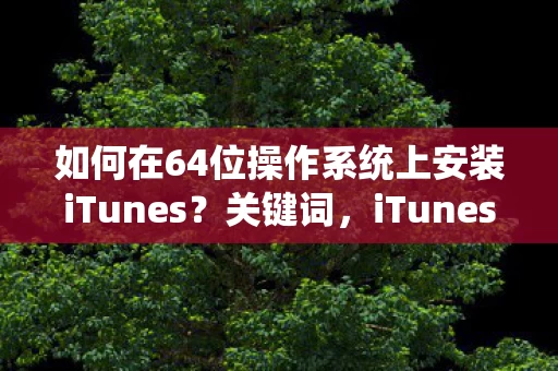 如何在64位操作系统上安装iTunes图片