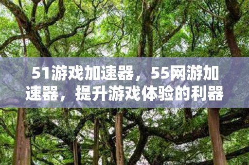 51游戏加速器，55网游加速器，提升游戏体验的利器