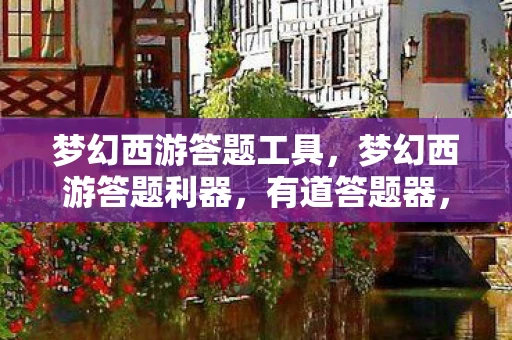梦幻西游答题工具，梦幻西游答题利器，有道答题器，你的智慧助手