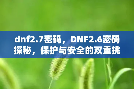 dnf2.7密码，DNF2.6密码探秘，保护与安全的双重挑战