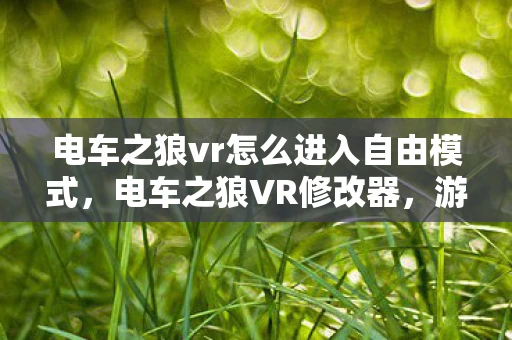 电车之狼vr怎么进入自由模式，电车之狼VR修改器，游戏修改的深度探索