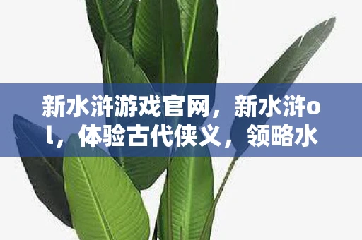 新水浒游戏官网,新水浒ol,体验古代侠义,领略水浒英雄风采 新水浒游戏官网,新水浒ol,体验古代侠义,领略水浒英雄风采