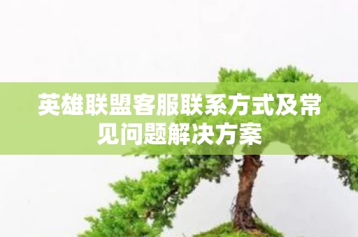 英雄联盟客服联系方式及常见问题解决方案图片