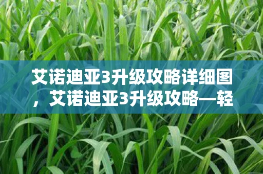 艾诺迪亚3升级攻略详细图,艾诺迪亚3升级攻略—轻松提升等级,成为游戏达人 艾诺迪亚3升级攻略详细图,艾诺迪亚3升级攻略—轻松提升等级,成为游戏达人