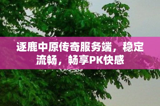 逐鹿中原传奇服务端,稳定流畅,畅享PK快感 逐鹿中原传奇服务端,稳定流畅,畅享PK快感