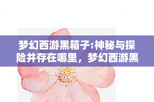 梦幻西游黑箱子:神秘与探险并存在哪里，梦幻西游黑箱子，神秘与探险并存