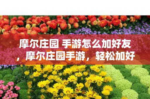 摩尔庄园 手游怎么加好友，摩尔庄园手游，轻松加好友，开启友谊之旅