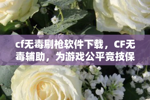 cf无毒刷枪软件下载，CF无毒辅助，为游戏公平竞技保驾护航