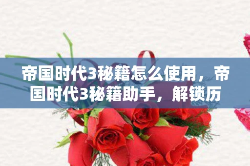 帝国时代3秘籍怎么使用，帝国时代3秘籍助手，解锁历史战的新篇章