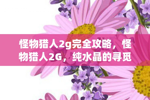 怪物猎人2g完全攻略，怪物猎人2G，纯水晶的寻觅与狩猎艺术