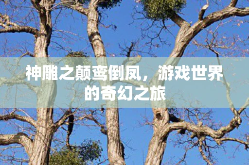 游戏世界的奇幻之旅图片