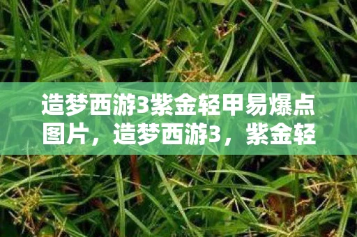 造梦西游3紫金轻甲易爆点图片，造梦西游3，紫金轻甲易爆点全面解析