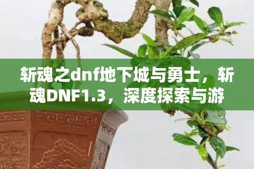 斩魂之dnf地下城与勇士，斩魂DNF1.3，深度探索与游戏机制解析