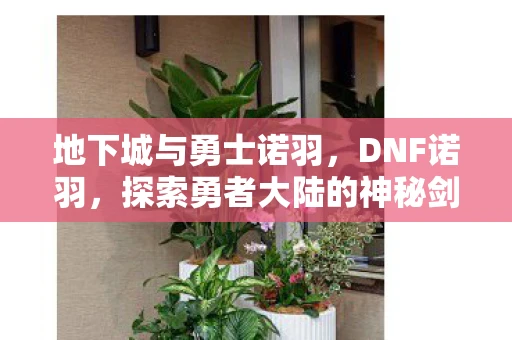 地下城与勇士诺羽，DNF诺羽，探索勇者大陆的神秘剑客