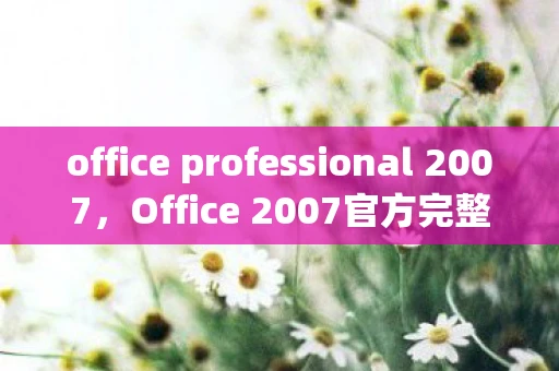office professional 2007，Office 2007官方完整版，全面解析