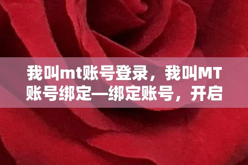 我叫mt账号登录图片