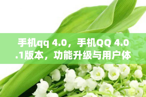 手机qq 4.0，手机QQ 4.0.1版本，功能升级与用户体验优化