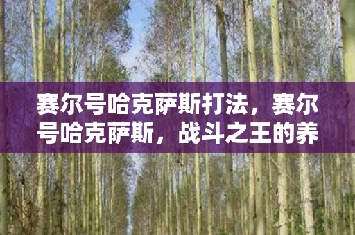 赛尔号哈克萨斯打法，赛尔号哈克萨斯，战斗之王的养成之路