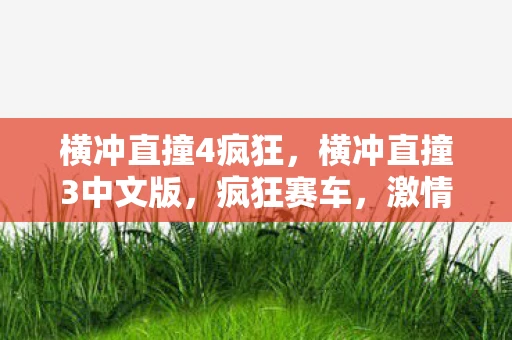 横冲直撞4疯狂，横冲直撞3中文版，疯狂赛车，激情碰撞