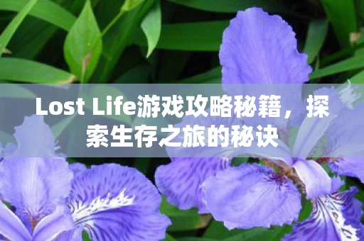 Lost Life游戏攻略秘籍图片