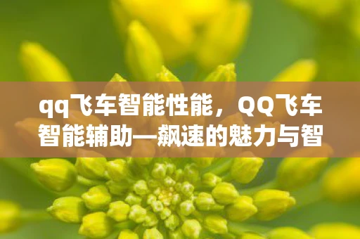 qq飞车智能性能，QQ飞车智能辅助—飙速的魅力与智能的碰撞资讯频道