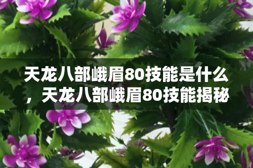 天龙八部峨眉80技能是什么，天龙八部峨眉80技能揭秘，峨眉派绝世武学，震撼全场的神秘力量