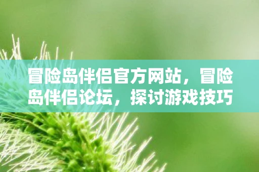 冒险岛伴侣官方网站，冒险岛伴侣论坛，探讨游戏技巧与心得分享