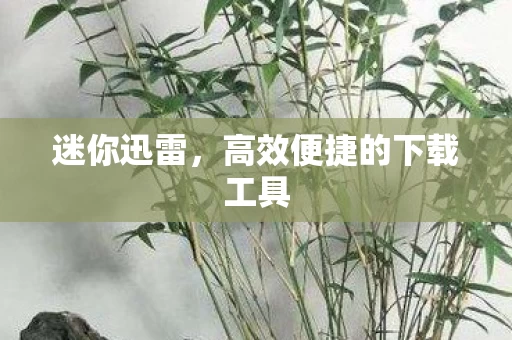 迷你迅雷,高效便捷的下载工具 迷你迅雷,高效便捷的下载工具