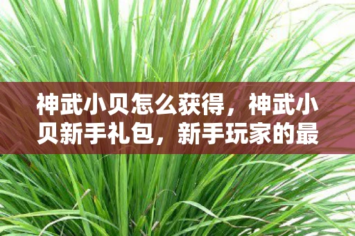 神武小贝怎么获得，神武小贝新手礼包，新手玩家的最佳伙伴