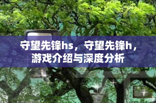 守望先锋hs,守望先锋h,游戏介绍与深度分析 守望先锋hs,守望先锋h,游戏介绍与深度分析
