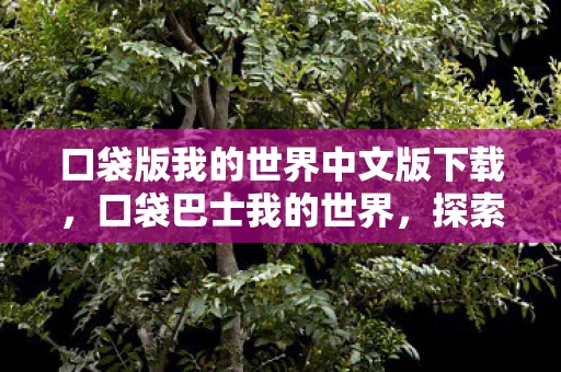 口袋版我的世界中文版下载,口袋巴士我的世界,探索无尽方块世界的奇妙冒险 口袋版我的世界中文版下载,口袋巴士我的世界,探索无尽方块世界的奇妙冒险