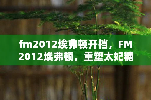 fm2012埃弗顿开档，FM2012埃弗顿，重塑太妃糖的辉煌岁月