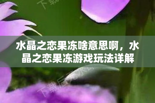 水晶之恋果冻啥意思啊，水晶之恋果冻游戏玩法详解