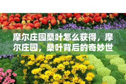 摩尔庄园桑叶怎么获得，摩尔庄园，桑叶背后的奇妙世界探索