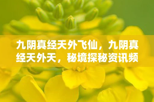 九阴真经天外飞仙，九阴真经天外天，秘境探秘资讯频道