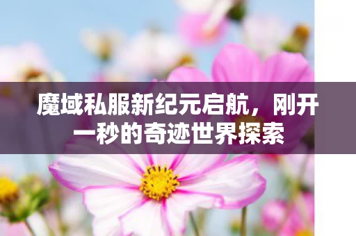 刚开一秒的奇迹世界探索图片