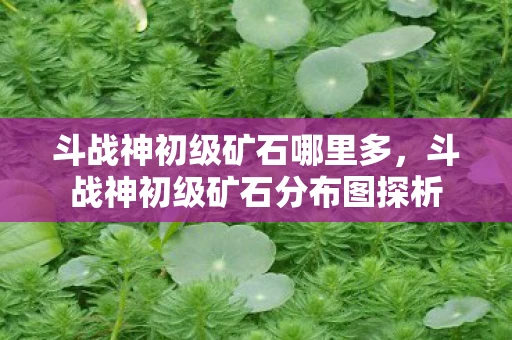 斗战神初级矿石哪里多，斗战神初级矿石分布图探析