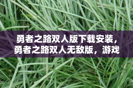 勇者之路双人版下载安装，勇者之路双人无敌版，游戏赏析